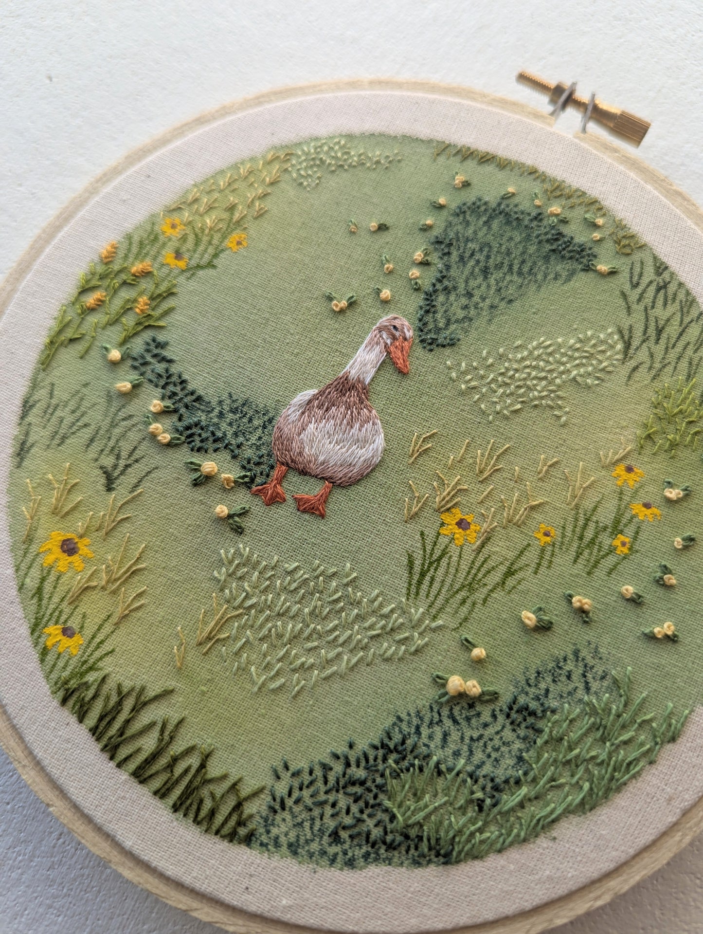 The Meadow Diaries ~ Mabel's Morning Wander