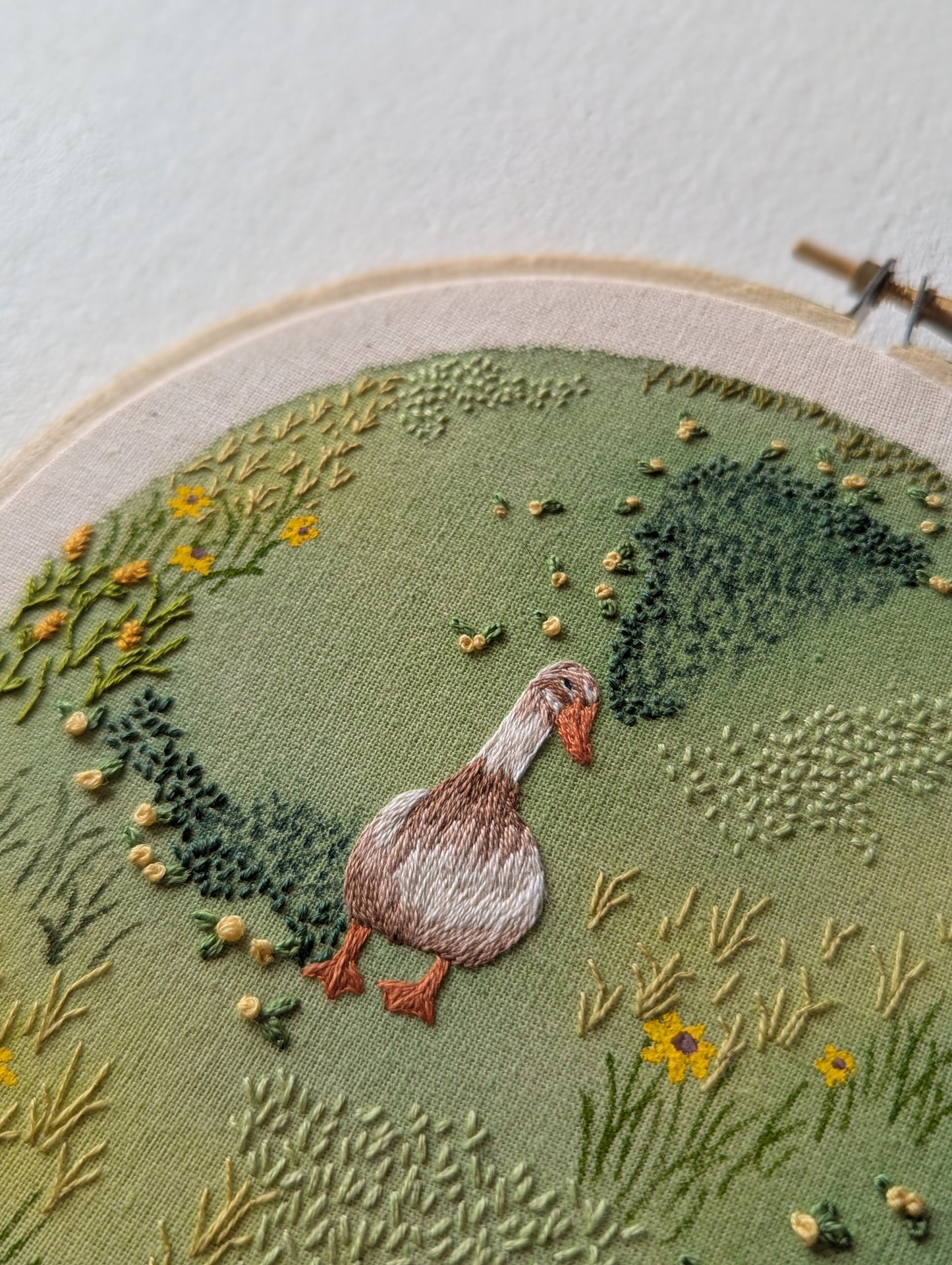 The Meadow Diaries ~ Mabel's Morning Wander