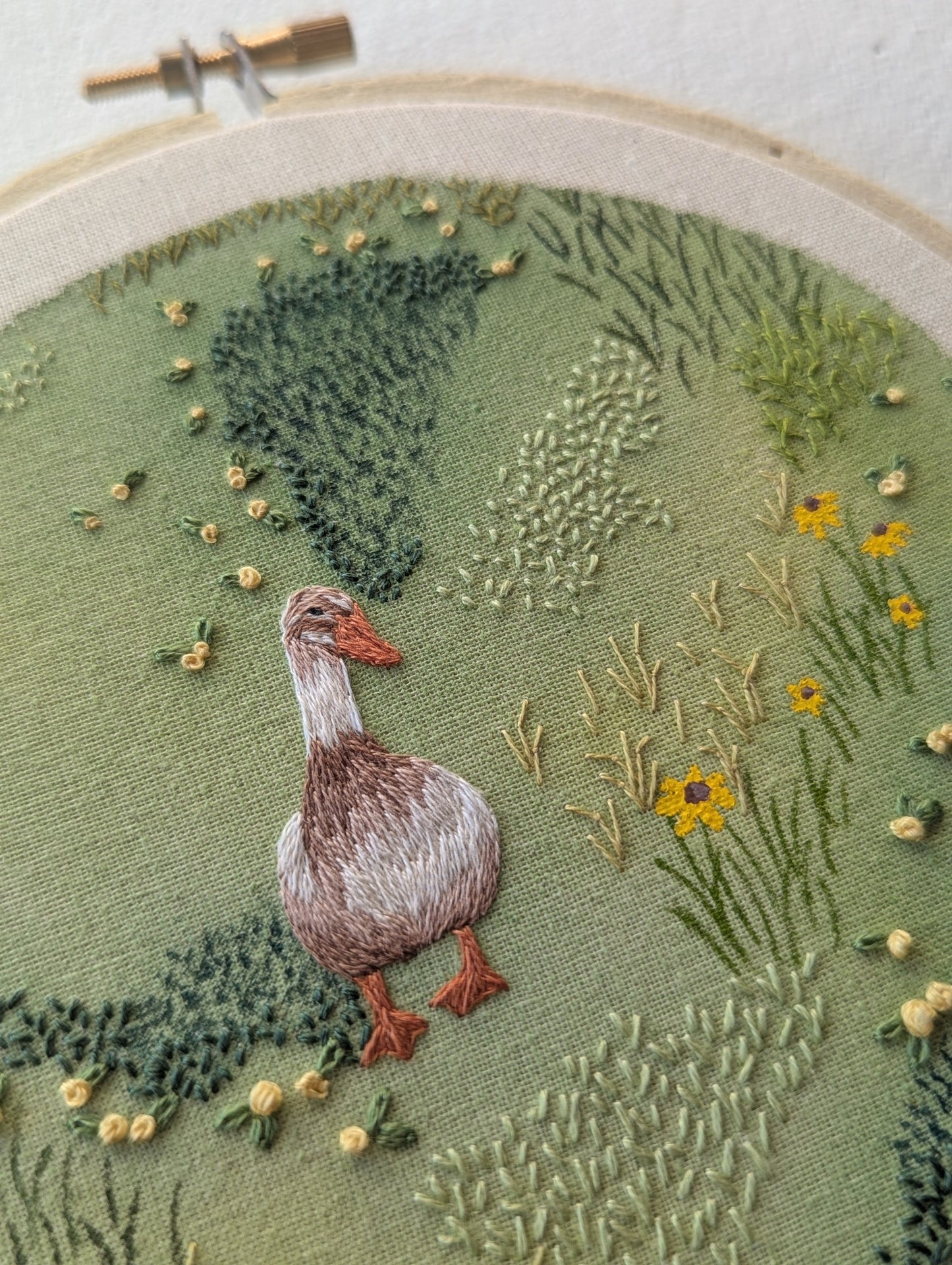 The Meadow Diaries ~ Mabel's Morning Wander