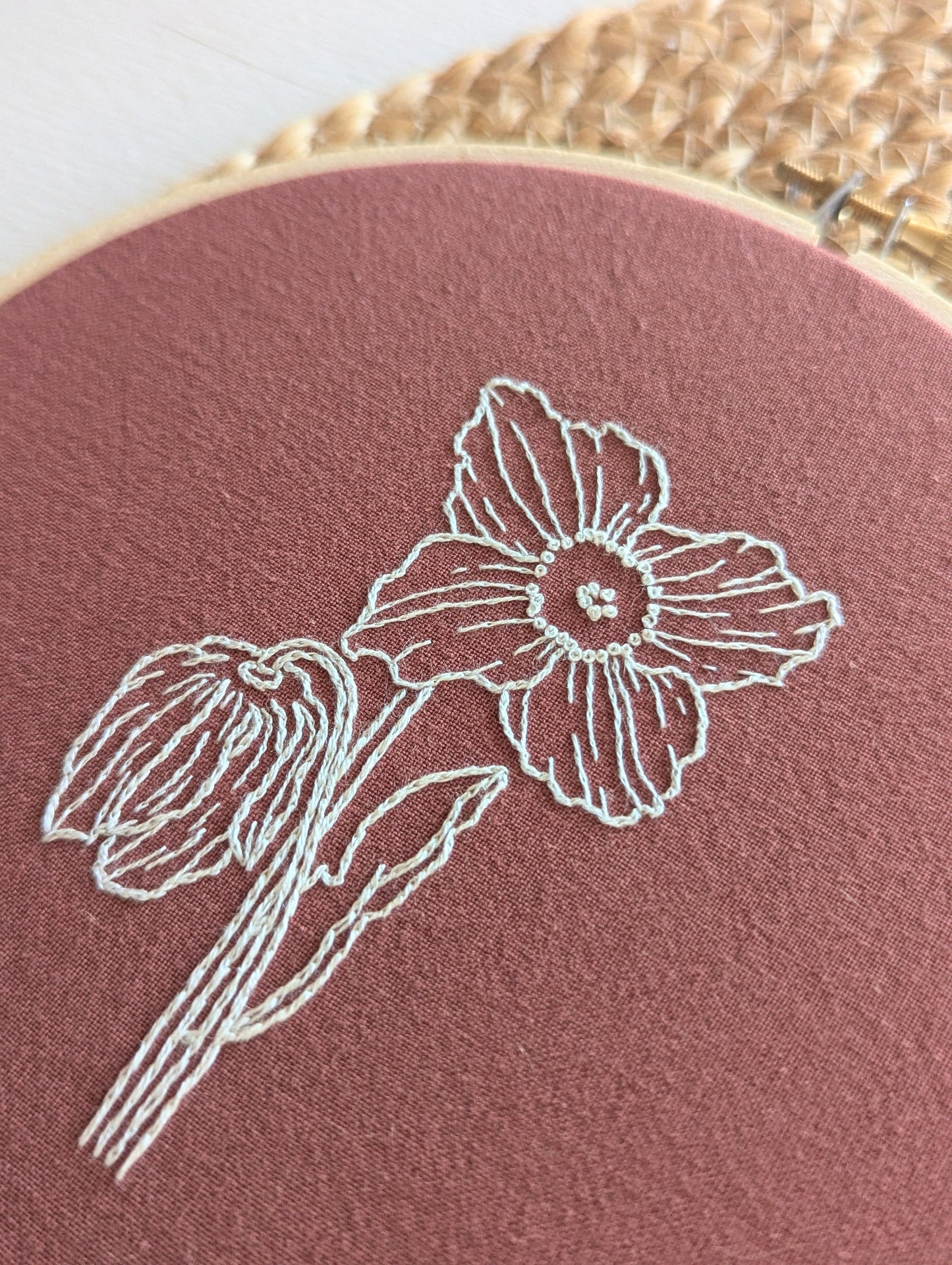 Himalayan Blue Poppy